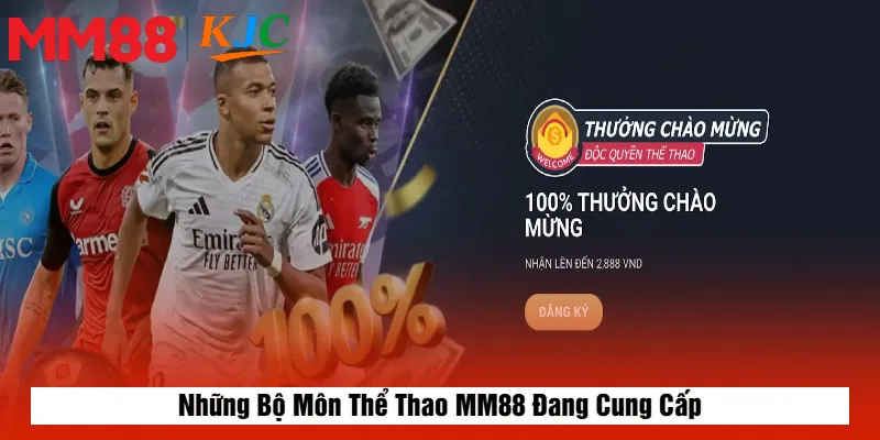 Những Bộ Môn Thể Thao MM88 Đang Cung Cấp